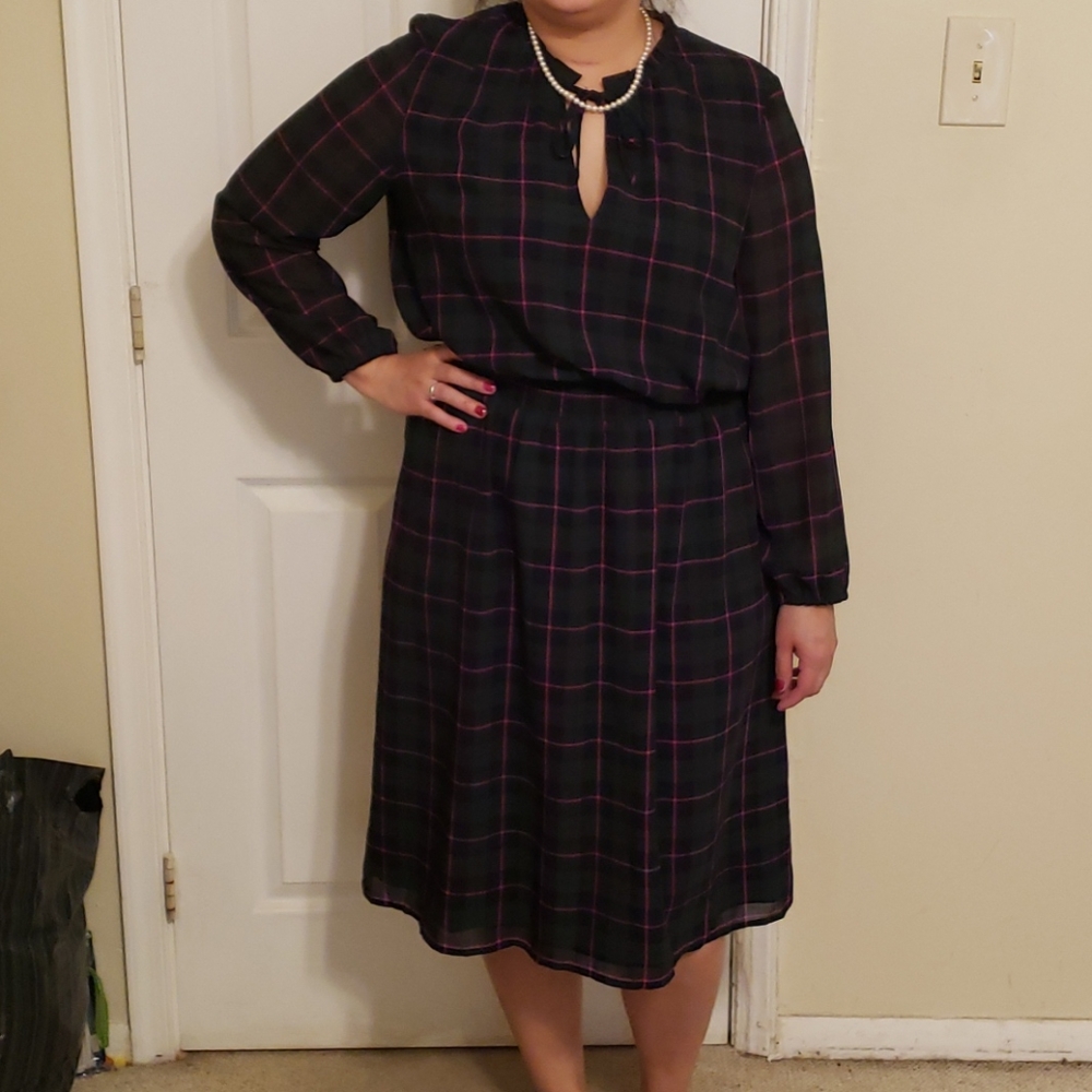 J.Crew elegant dress